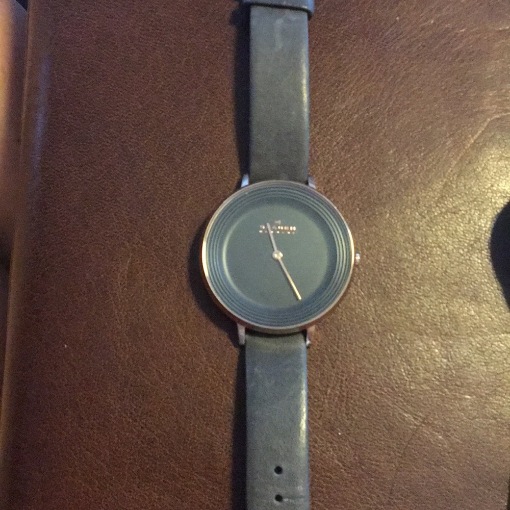 Skagen Watch